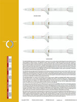 AIM-120 C / AGM-88 Missile Markings