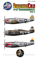 P-47 Thunderbolt  Part 3